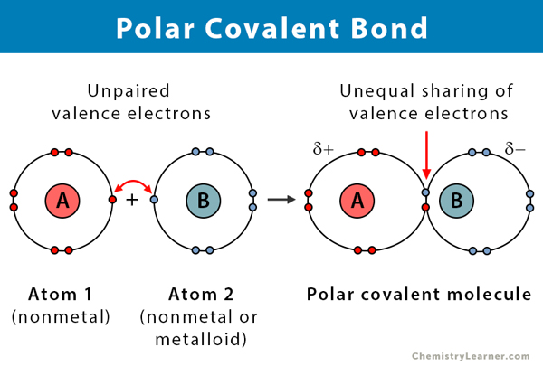 PolarCovalent_bond_example.png