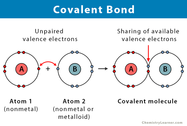 covalent_bond_example.png